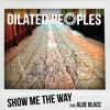 Show Me The Way feat Aloe Blacc Show Me The Way feat Aloe Blacc