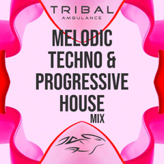 Melodic Techno & Progressive House Mix [January 2025]