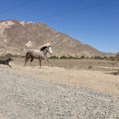 Freestyle à cheperland