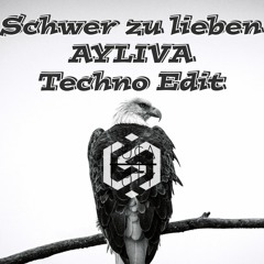 Schwer zu lieben_AYLIVA - LUCA POTTY Techno Edit