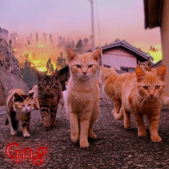 cat gang :3 ft mada cat