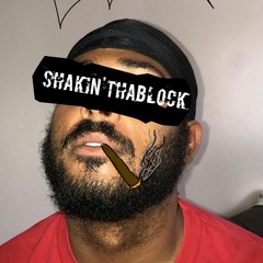 Shakin'ThaBlock