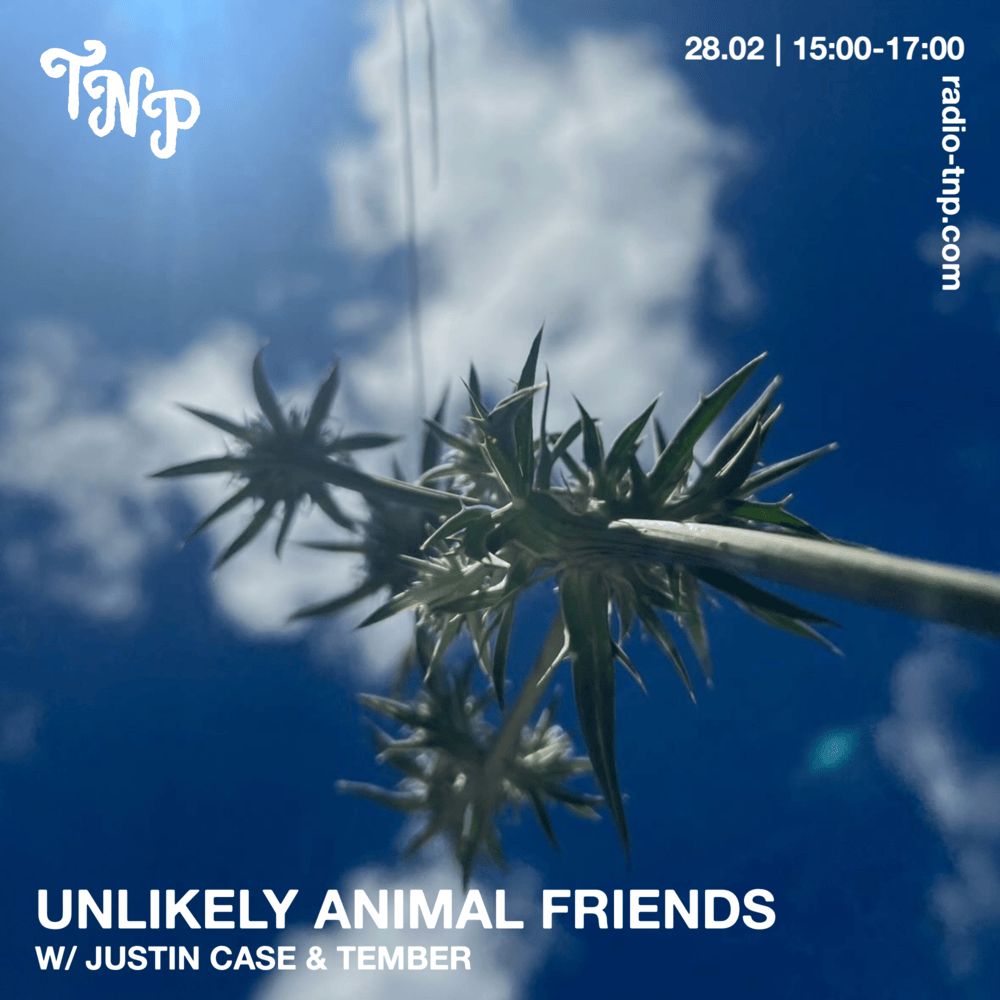 Unlikely Animal Friends w/ Tember