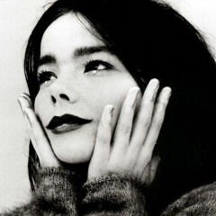 bjork - i see who you are (Erke Flax remix)