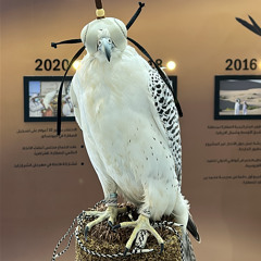 اشهد ان الشوق كالسيف