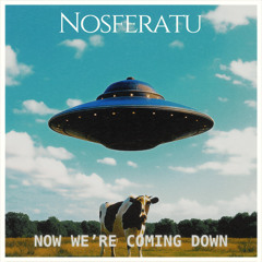 Now We're Coming Down