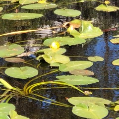 High Tide(2 - 10 - 21)2