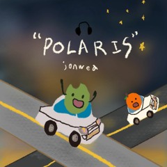 POLARIS (With. 이민주) (Prod. Siwoo)
