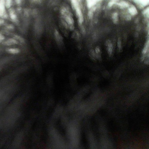 edm demos