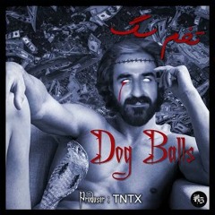 TNTX - Dog Balls - تنتکس - تخم سگ