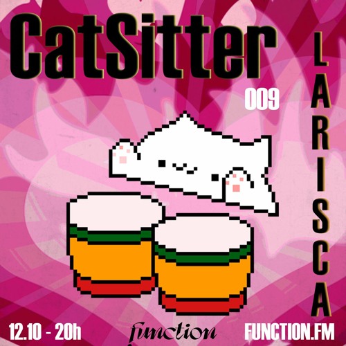 LARISSCA I Catsitter EP09 @function.fm