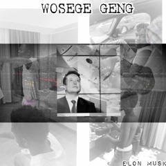 Wosege Geng - Elon Musk (feeling Pitchy Cover)