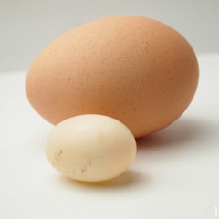 Lil' Egg