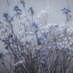 Kalyok (Studio Jam) ft Lumin Poetry