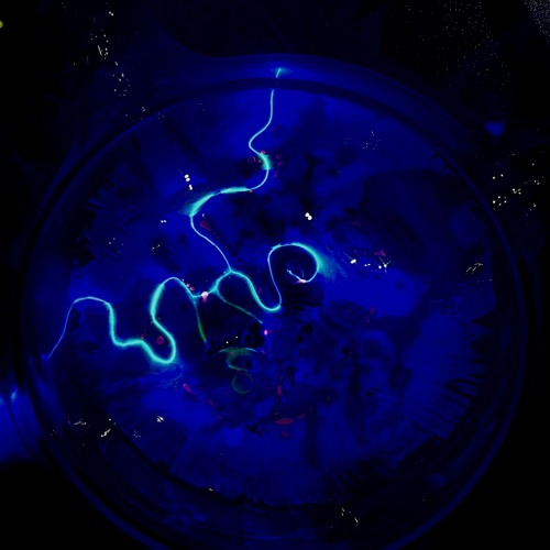 Dark Vision (New Moon Version)[OUT NOW on Bandcamp]