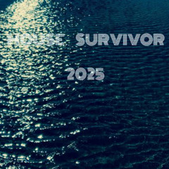 House survivor 2025/oldschool reworks unmastered