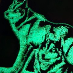 Let`s get Wild #1 (01-2025)