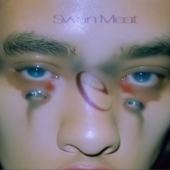 Swan Meat