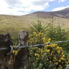 Galtree Mountains, Tipperary, IRELAND