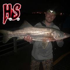 Hook Shots #52 - The Truth About Living In A Van Down By The Inlet