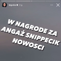 vkie 25.08 snippet
