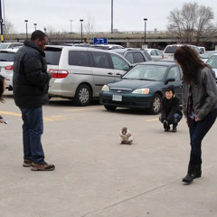 2 pairs of socks (bad phone demo)