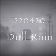 Dull Rain(220420)
