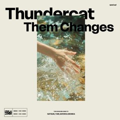 Thundercat - Them Changes (sped up!)