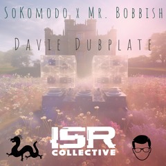 SoKomodo x Mr. Bobbish - Davie Dubplate