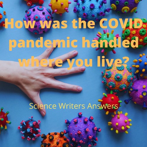 How was the pandemic handled where you live? Science Writers tell us.
