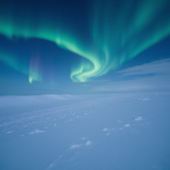 Polar Glow