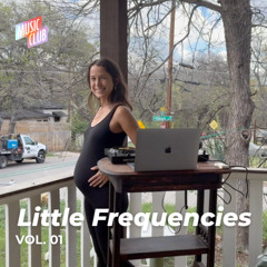 Little Frequencies Vol 01