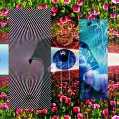 HOMER LIVE @ FIVE ON IT SUNDAYS LV