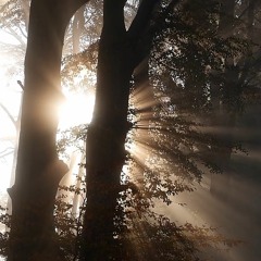 'Enlighten' Riddim | Reggae Instrumental 2020