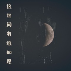 这世间有谁如愿