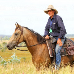 Out On The Plains