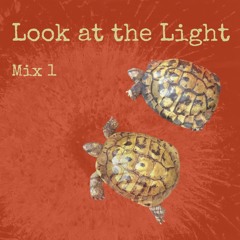 Wake up Now - Look at The Light