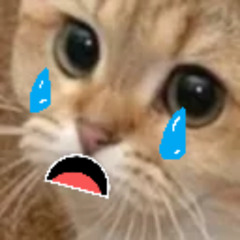 CHATSURA U Made me cry (D&F)
