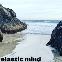 Elastic mind