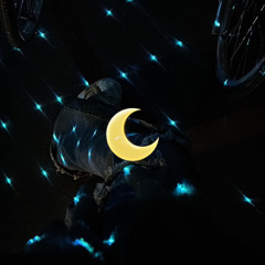 Earrings（lunar）