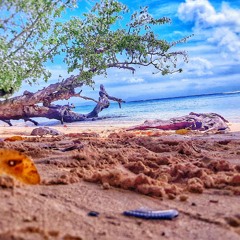 Kelly, John, Blake and Gwen Sing Bob Marleys Classic One Love - The Voice 2020.mp3