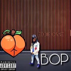 BOP freestyle (Munch Cmix)