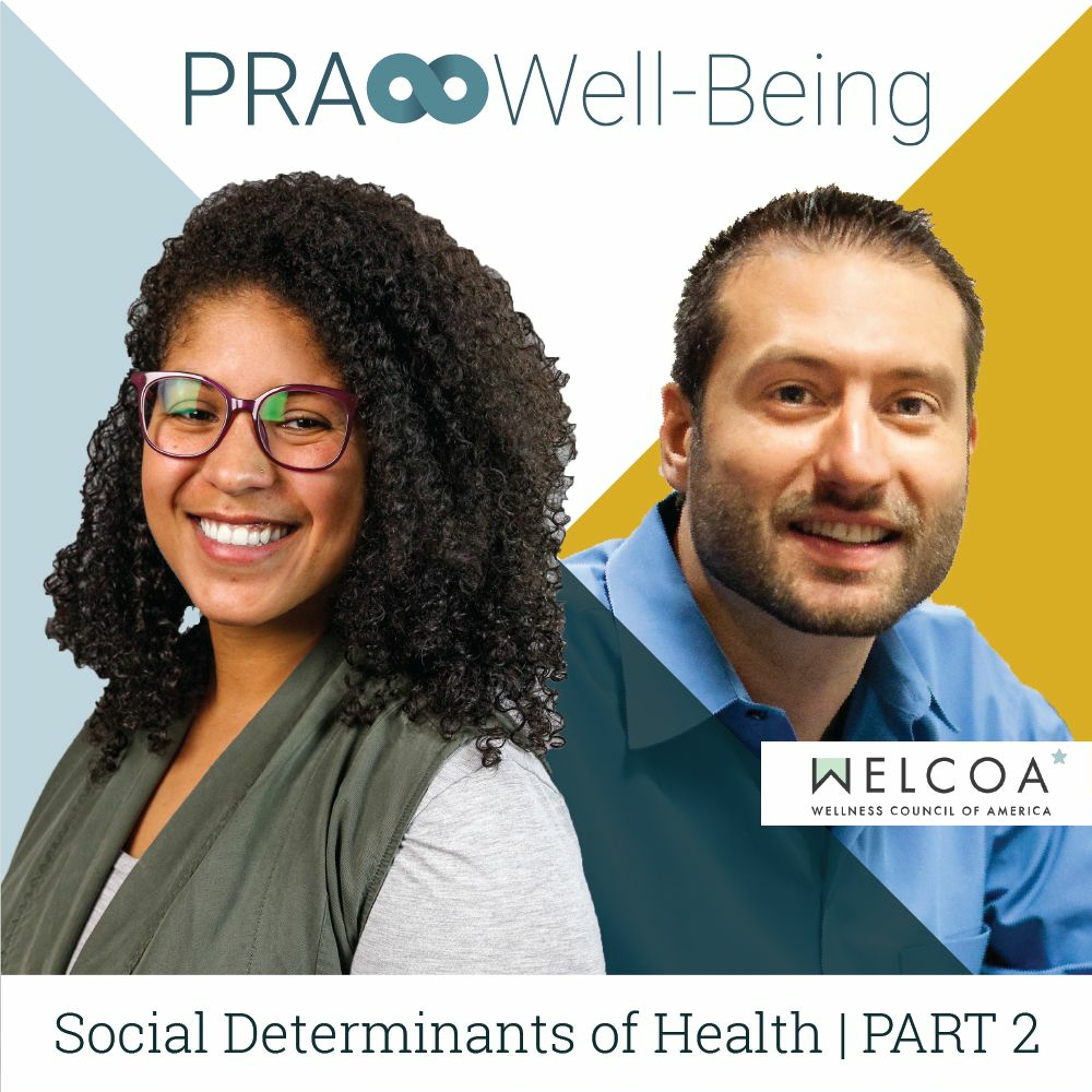 Social Determinants of Health Part 2: The Unmentionables of Wellness episode artwork