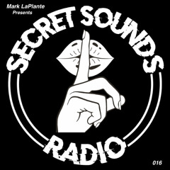 Secret Sounds Radio 016 Special Guest Amy Unland