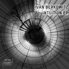 Ivan Berkowitz - Intuition (Original Mix)