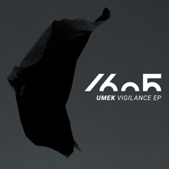 Vigilance (Original Mix)