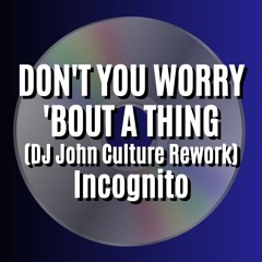 DON'T YOU WORRY 'BOUT A THING (DJ John Culture Rework-FLAC) Incognito