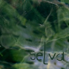 SELVA podcast