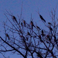 you take advantage (and ill take the chances)