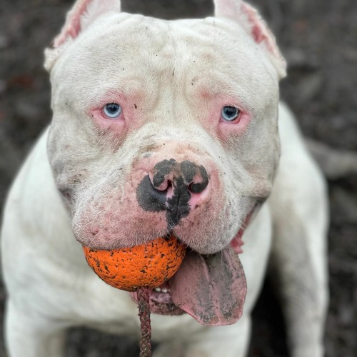 Dj Mickey Byker Few Beers And I'm On 1 06/02/21